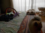 DSCN0320.JPG