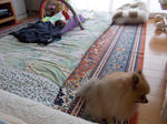 DSCN0321.JPG