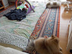 DSCN0322.JPG