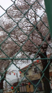 20100404145514.jpg