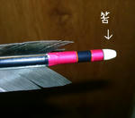 d03d3865.JPG