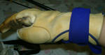 aeca862a.JPG
