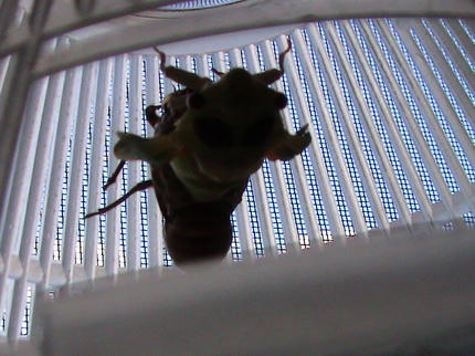DSC00823.JPG