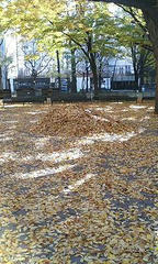 PA0_0026.JPG