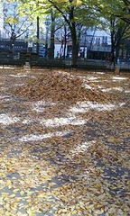 PA0_0027.JPG