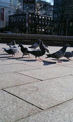 PA0_0029.JPG
