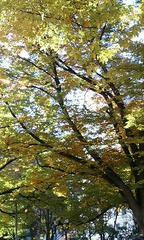 PA0_0030.JPG