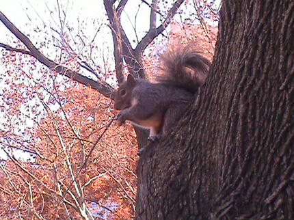 DSC01282.JPG