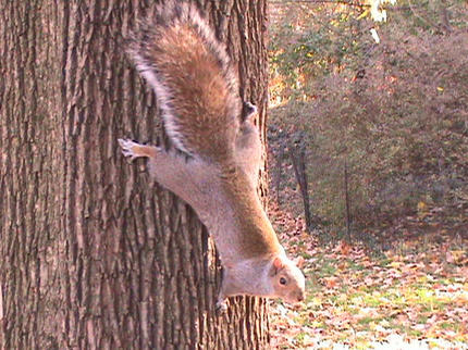 DSC01284.JPG
