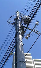 PA0_0034.JPG