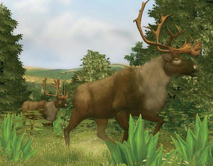 biggame07_big1.jpg