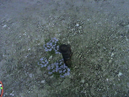 DSC05811.JPG
