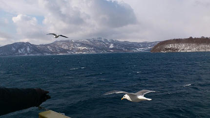 DSC_0065.jpg