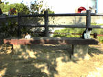 DSC00001.JPG