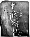 witkin42s.jpg