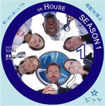 DR.HOUSE　/　LALA自作DVDジャケット