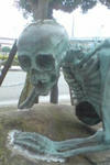 20081116120303.jpg