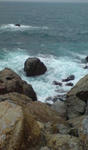 20081117122021.jpg