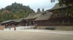 20081117131500.jpg