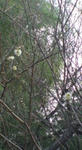20090110133700.jpg