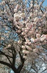 20090404143950.jpg