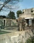 20090404151331.jpg
