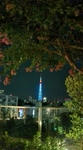 20090814203534.jpg