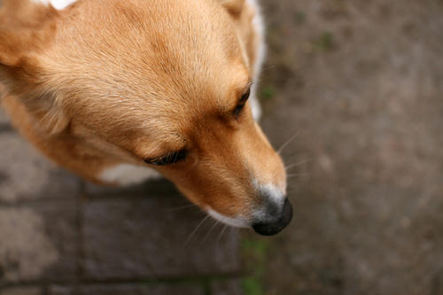 Click!!