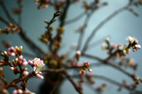 Click!!