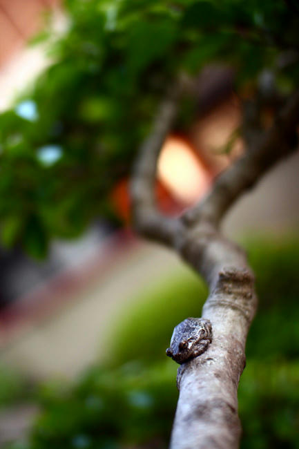 Click!!