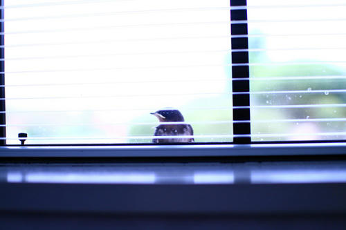 Click!!