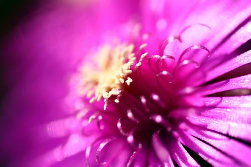 Click!!