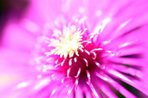 Click!!