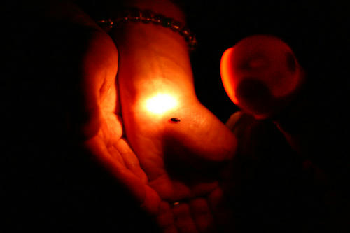 Click!!