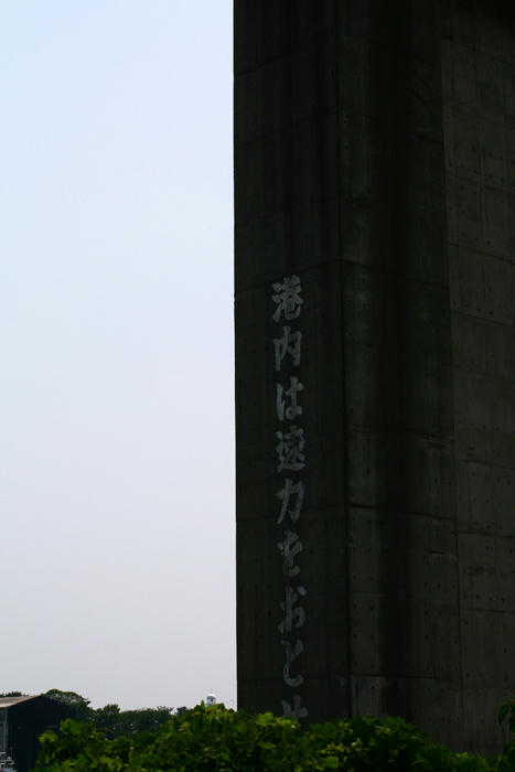 拡大！