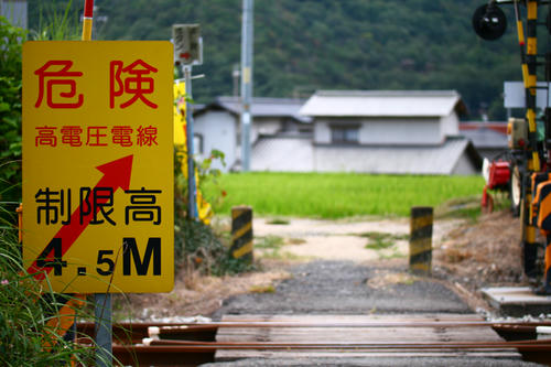 拡大！