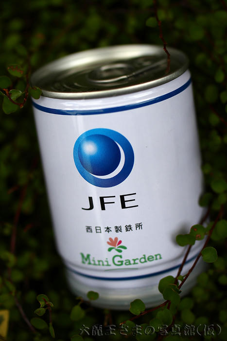 拡大！