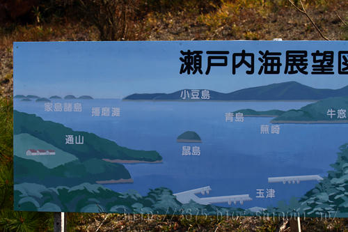 拡大！