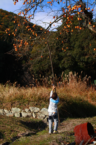 元画像が大き過ぎて蹴られました！