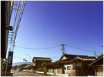 R0012994.jpg