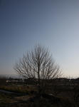 HIDN0353.jpg