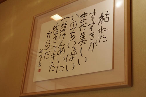 IMGP0873.JPG