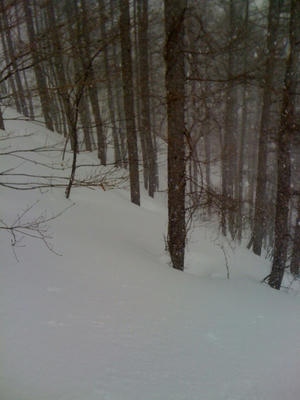 IMG_1115.JPG