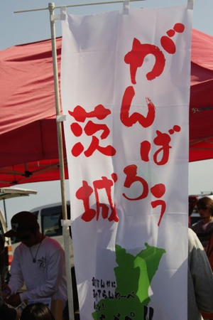 IMGP1537.JPG