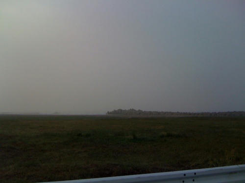 IMG_1598.JPG