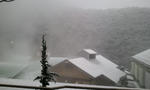 2012-02-29_07_03_29.jpg