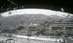 2012-02-29_11_05_02.jpg