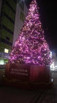 20121221_215218.jpg