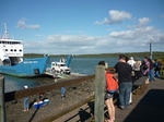 P1040003.jpg