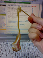 みみがーくんせい